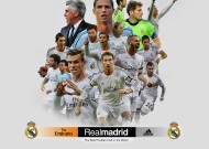 开云注册入口平台特色解析真实评测