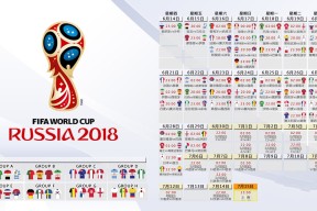 全面解析：开云体育官网