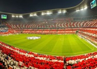 如何使用开云体育官网操作教程