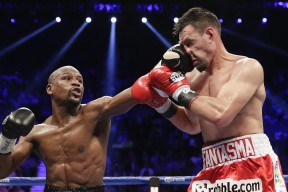 全面解析：开云注册入口